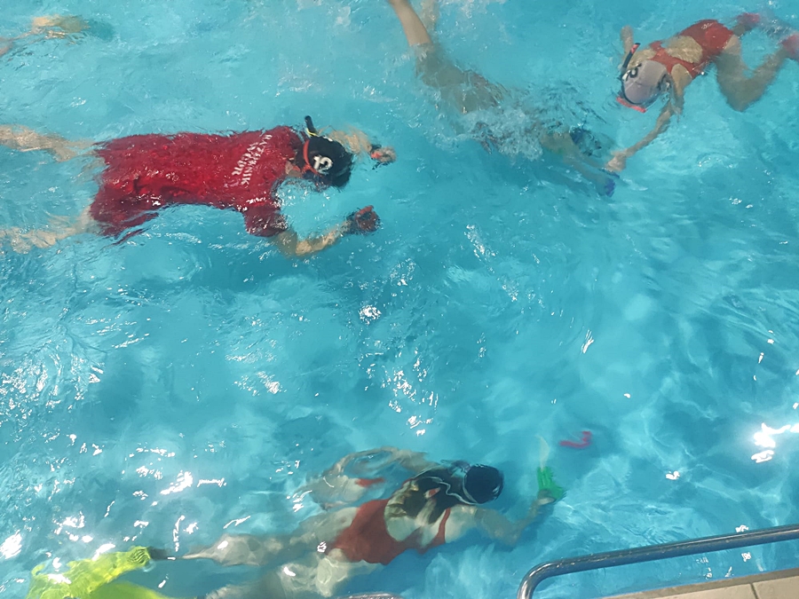 Hokej pod wodą Walenie Siemianowice Śląskie Trening 26 XI 2022. Koniec Walenia czyli Amatorska Liga Hokeja Pod Wodą